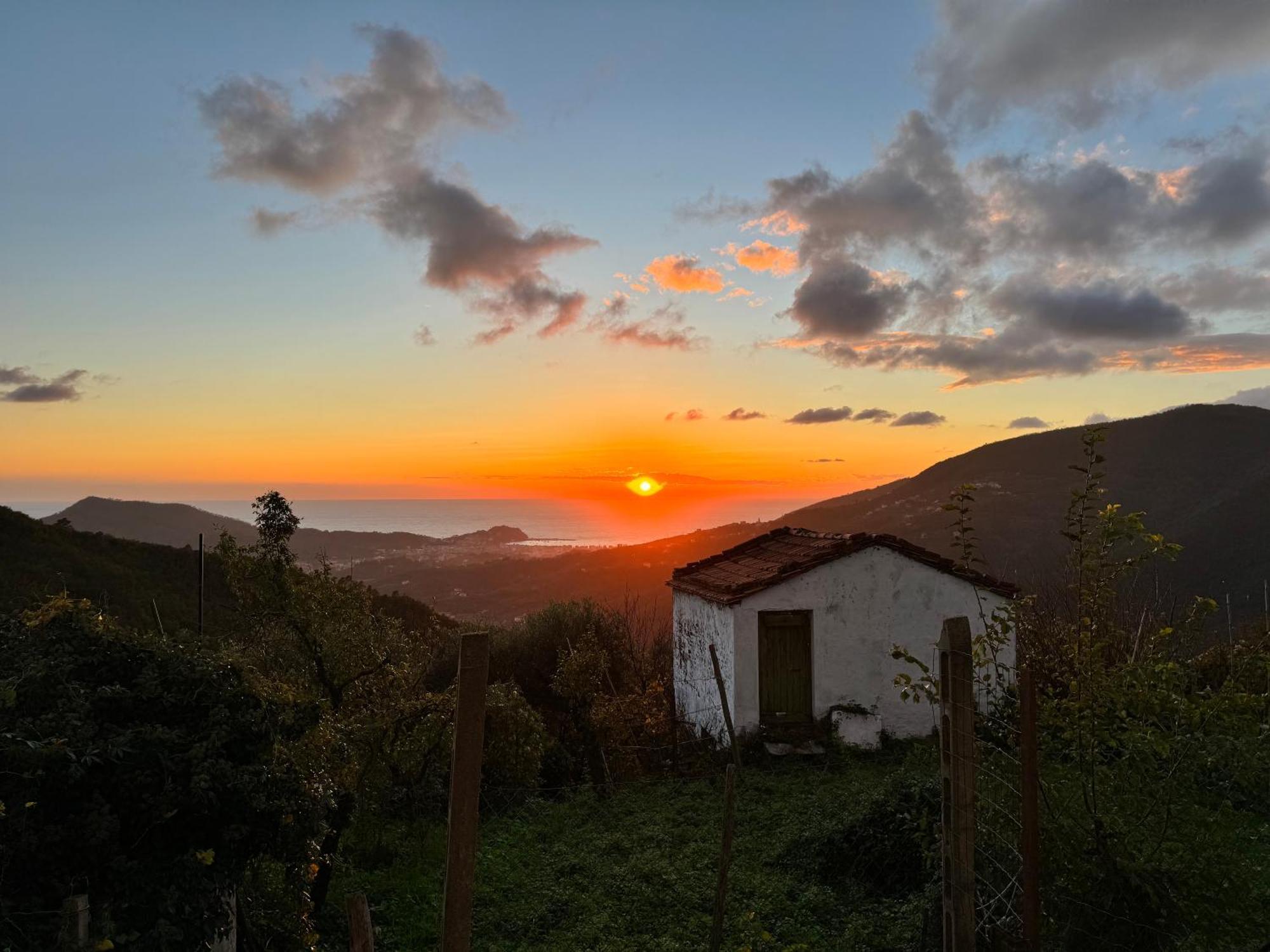 La Collina Sul Mare - Casa Vacanze Sestri Levante Exterior foto
